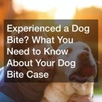 Experienced a Dog Bite? What You Need to Know About Your Dog Bite Case