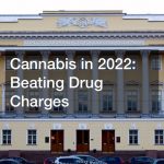 Cannabis in 2022  Beating Drug Charges