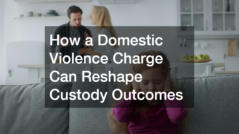 How a Domestic Violence Charge Can Reshape Custody Outcomes
