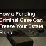 How a Pending Criminal Case Can Freeze Your Estate Plans